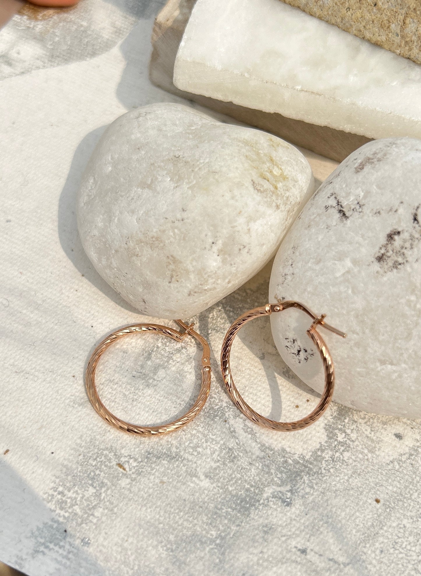 Circle Hoop Earrings