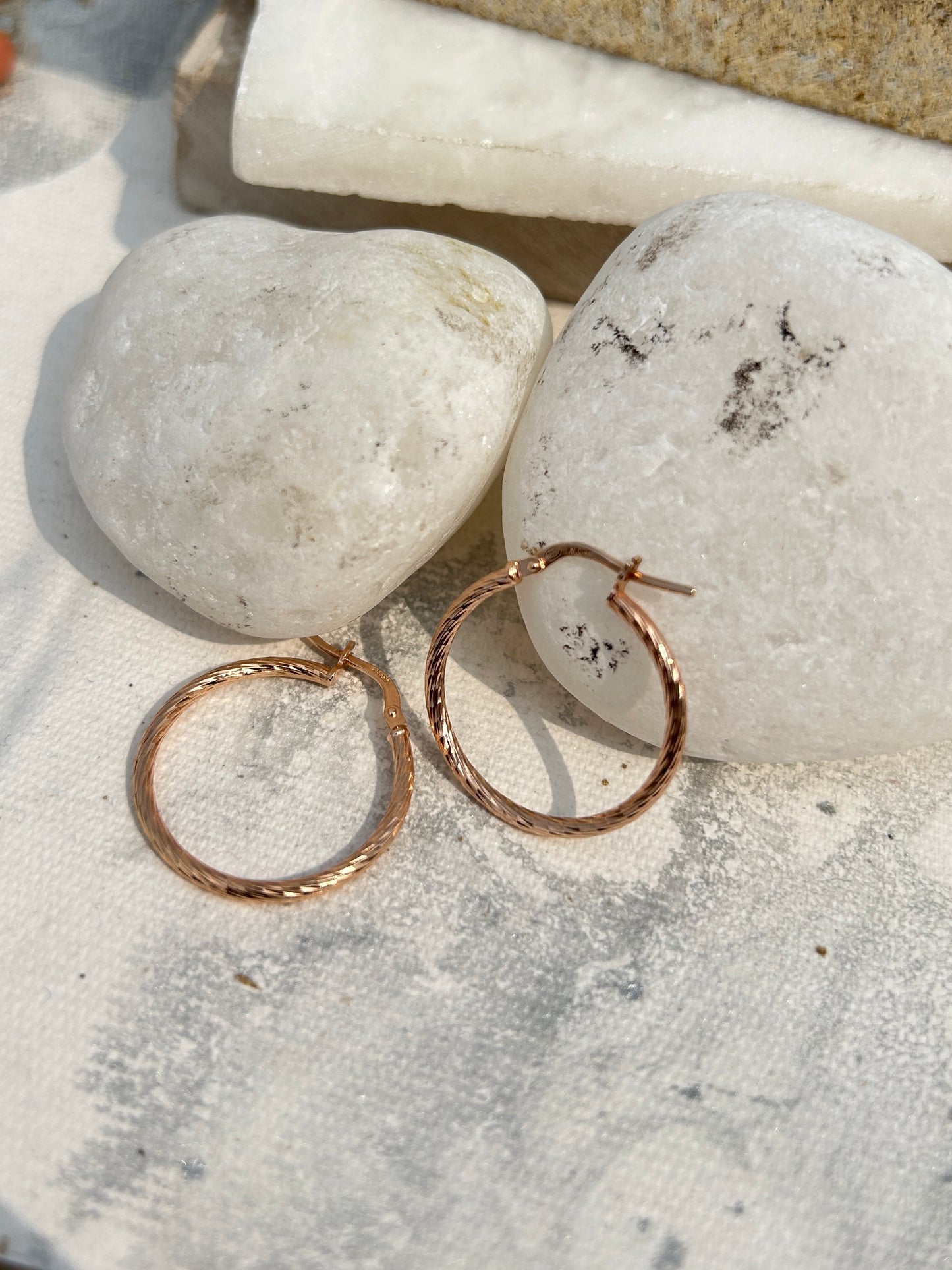 Circle Hoop Earrings