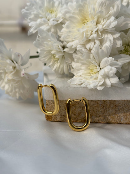 Gold Link Hoops
