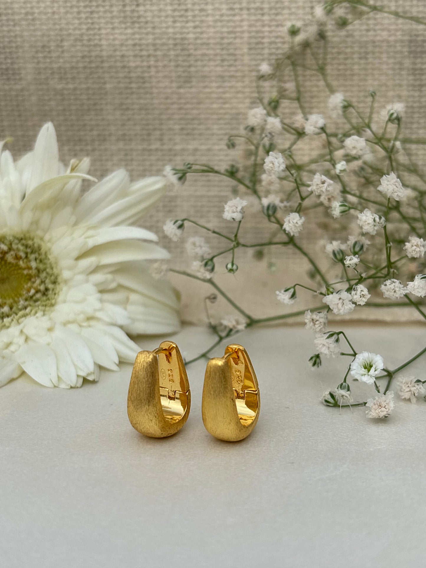 Soft Curve Gold Studs