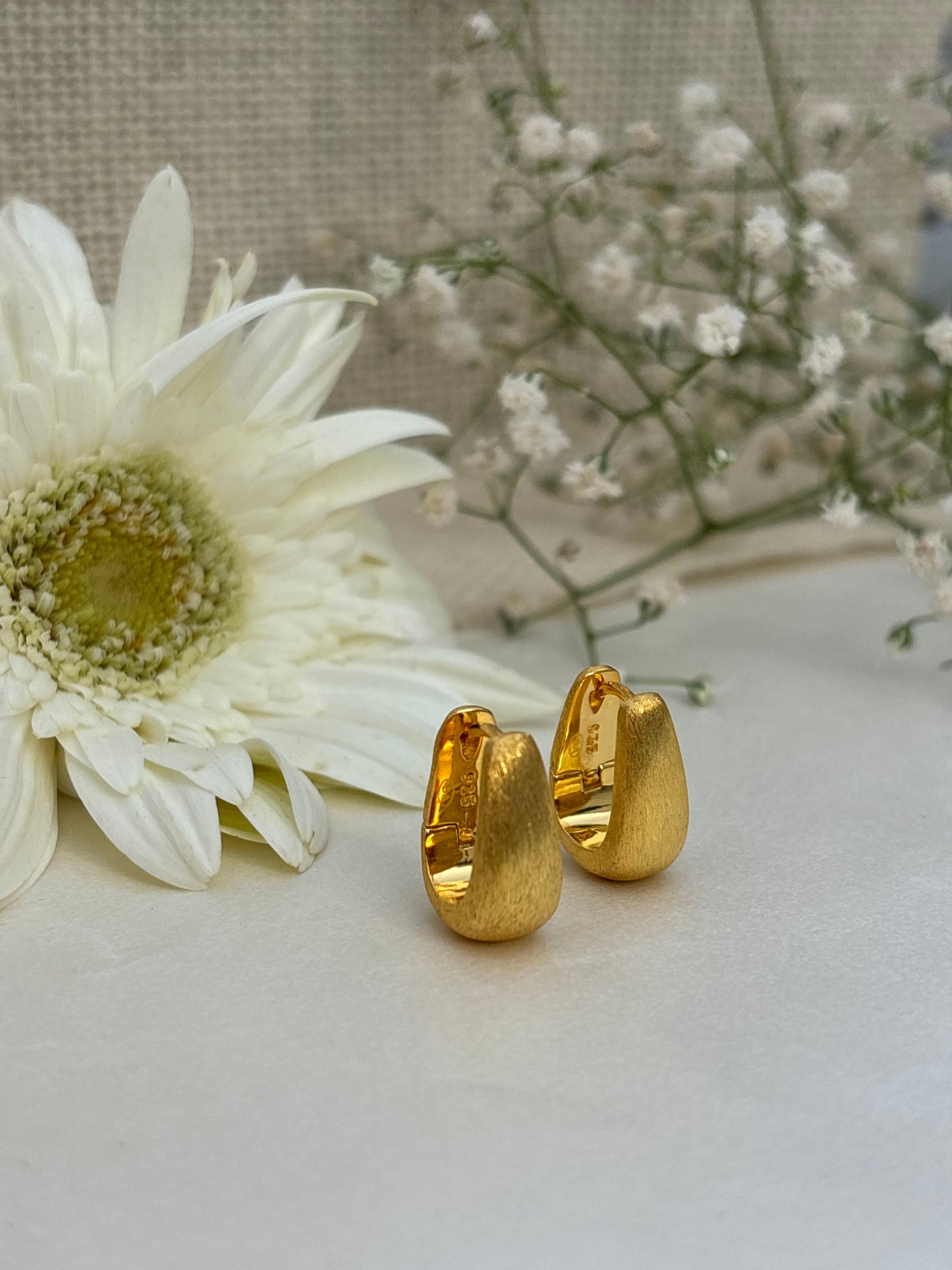 Soft Curve Gold Studs