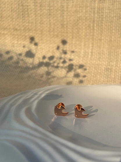 Little Dolphin Studs